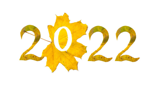 2022.numbers carved from yellow maple leaves
