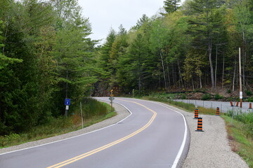 winding road in the forest