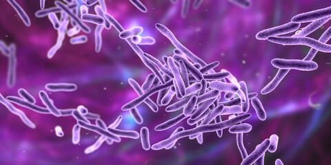 Erysipelothrix bacteria, 3D illustration