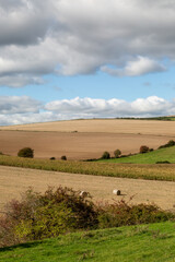 Looking out over farmland in rural Sussex on a sunny autumn day