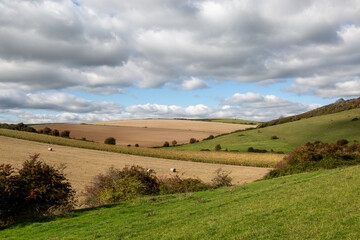 Fototapeta na wymiar Looking out over farmland in rural Sussex on a sunny autumn day
