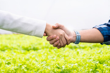 Hand Man and woman Shake Hands on Green oak Background. Vegetable in smart farm plant.