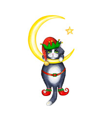 Christmas elf cat in a suit and boots isolated on a white background. Cute kitten black and white hanging on the moon with a star. Manual digital illustration. New Year's Card