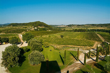 Paisaje de viñedos en el entorno de El   Poblet, en la Conca de Barberá, que es una Denominación...