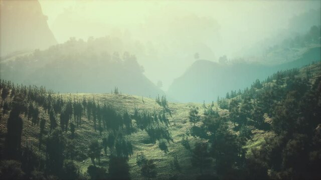 autumn forest on green rocky hills