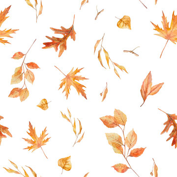 Autumn leaves seamless pattern. Watercolor floral ornament for web background, wallpaper, cover or fabric.
