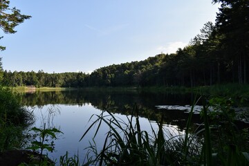 Obraz premium Lago di Santa Colomba in Trentino, cielo sereno, riflessi e ninfee