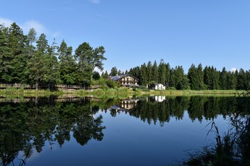Fototapeta na wymiar Lago di Santa Colomba in Trentino, cielo sereno, riflessi e ninfee