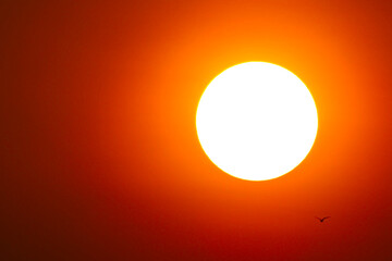 beautiful image orange sun set close up.