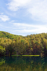 森が水面に反射する御射鹿池【蓼科高原】／日本長野県茅野市【八ヶ岳中信高原国定公園】