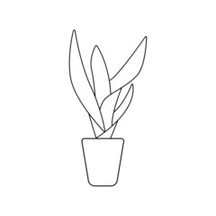 vector illustration of houseplant in pot black lines on white background minimalistic line art