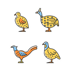 Landfowl RGB color icons set. Japanese quail. Pheasant family. Guinea fowl. Domesticated birds. Commercial poultry farming. Isolated vector illustrations. Simple filled line drawings collection