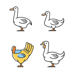 Waterfowl RGB color icons set. Ducks and geese raising. Turkey growing. Livestock husbandry. Commercial poultry farming. Isolated vector illustrations. Simple filled line drawings collection