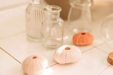 Empty glass bottles and vases of various sizes and shapes and sea urchin shells on a white table.Elements of the home interior.Material for craft products.Creative background.Selective focus.