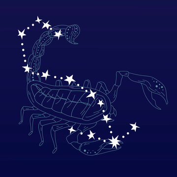 Scorpio astrological sign design vector