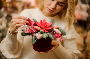 Selective focus of composition of succulents and fir branches in round box in female hands