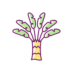Traveller palm RGB color icon. Tropical outdoor plant. Traveler tree. Ravenala madagascariensis. Tropical paradise symbolism. Flowering plant. Isolated vector illustration. Simple filled line drawing