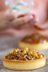 Brownie with nuts, delicious tartlet. High quality photo