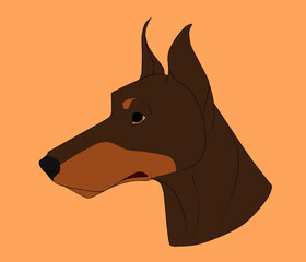 LOGO DOBERMAN © Midyis