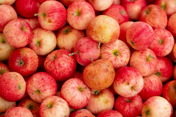red apples on the market