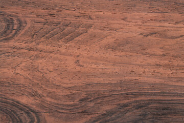 Palisander Exotic wood panel texture pattern
