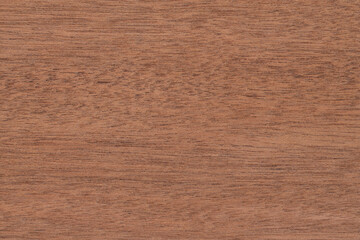 Sapeli Exotic wood panel texture pattern