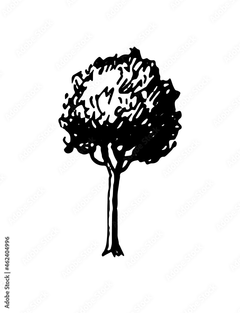 Poster ink sketch of tree.