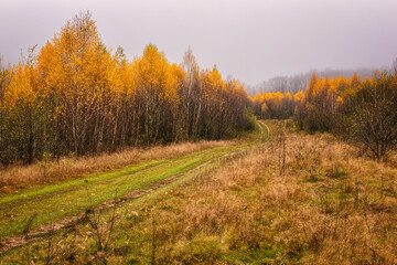 Dirty road in the autumn mountains with yellow or golden colored trees and overcast grey sky, misty late fall landscape, outdoor travel background