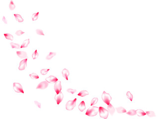 Japanese cherry blossom pink flying petals