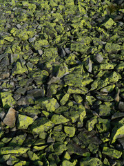 gray stones covered with moss. green moss on the stone. background