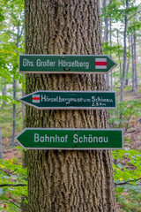 Herbstliche Entdeckungstour entlang der prachtvollen Hörselberge bei Eisenach - Thüringen