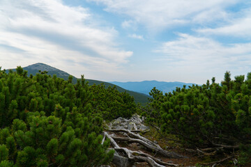 Obraz premium Summer mountains on a cloudy day. mountain landscape. background