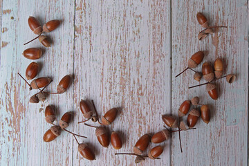 Acorns on a light wood background. Copy spase