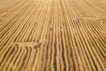 View from above field after harvest. Incredible landscapes and textures. The dug-up strips left by the combines form geometric lines stretching parallel to each other to the horizon