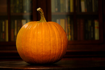 Big yellow pumpkin in the library for Halloween