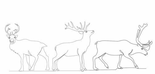Fototapeta na wymiar deer one line drawing isolated, vector