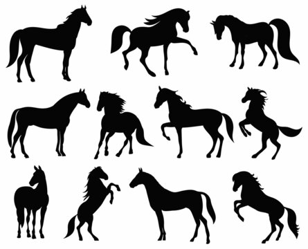 set, collection of horse silhouette, isolated, vector