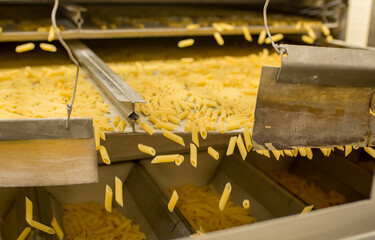 Pasta factory conveyor for pasta production of flour products. Technological production factory industrial work. Raw macaroni close-up with copy space.