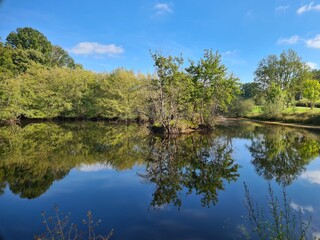 lake in the forest