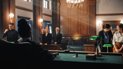 Cinematic Court of Law and Justice Trial: Female Judge Ruling Out a Decision in a Civil Family...