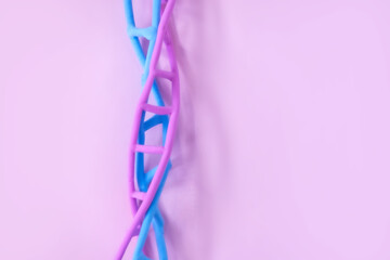 Artificial DNA model on pink background