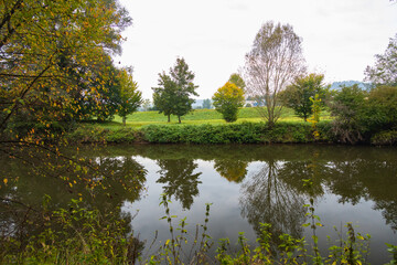 Colorful trees along a river