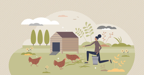Fototapeta na wymiar Backyard chickens farming and hens feeding with seeds tiny person concept. Ecological domestic animal care for organic slow food vector illustration. Happy and ethical birds keeping for eggs and meat.