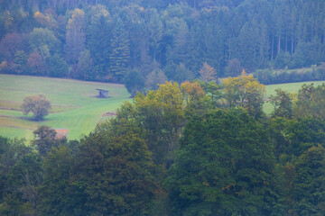 Fall foliage in Germany