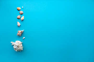 Blue background with a chain of seashells on it from the left side, space for text
