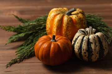 Thanksgiving and pumpkins seasonal autumn background. Copy space for text.