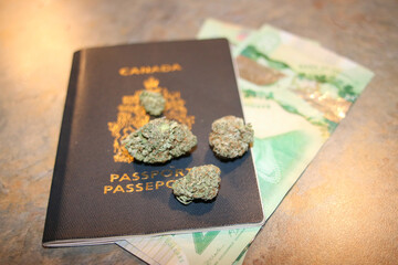 Closeup of dried marijuana buds put on a passport with travel tickets.