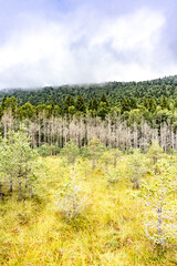 Fototapeta na wymiar Mountain landscape, nature with a drone