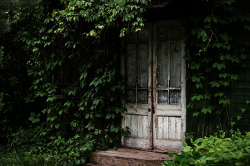 an entourage door in an abandoned house with a hedge