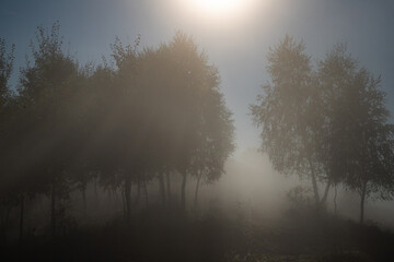 Fototapeta na wymiar beautiful foggy autumn morning landscape in rural Transylvania